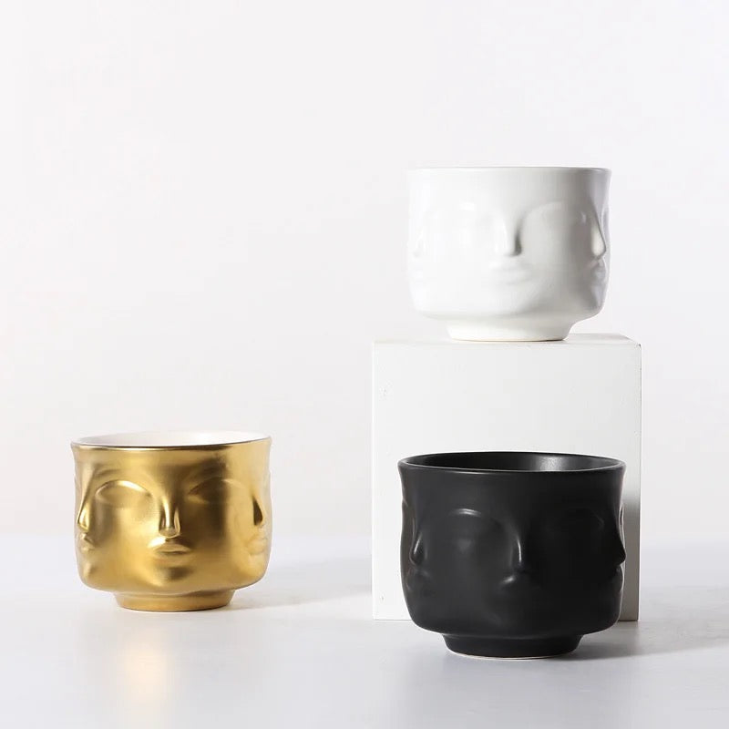 Pack Of 2 Ceramic Pot Planter