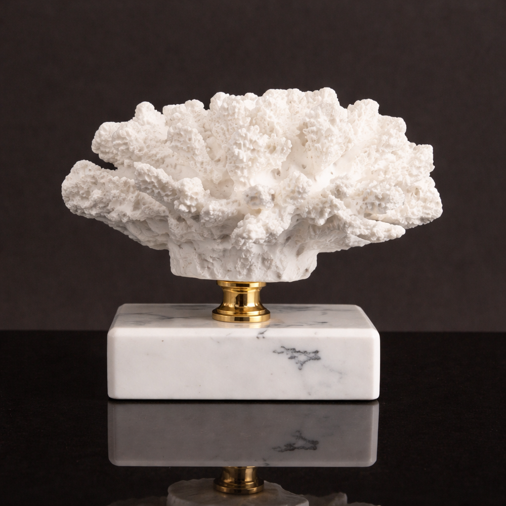 Luxury Coral Decor with Elegant Marble Base