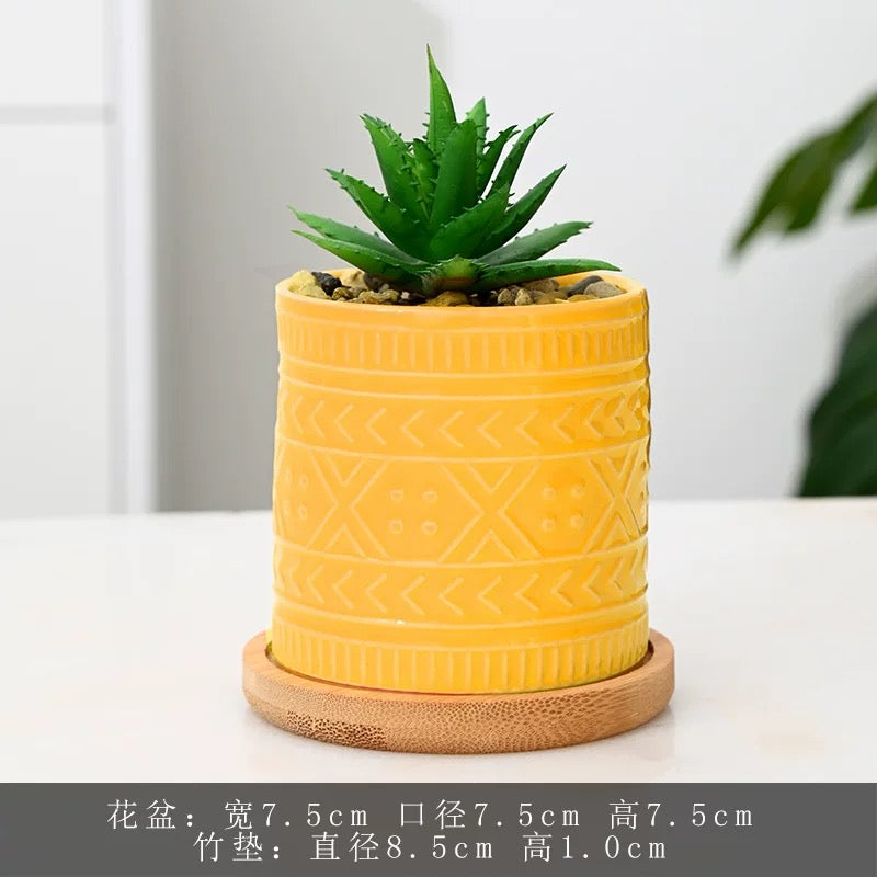 Pack Of 3 Ceramic Plant Without Wooden Coaster - Same Color