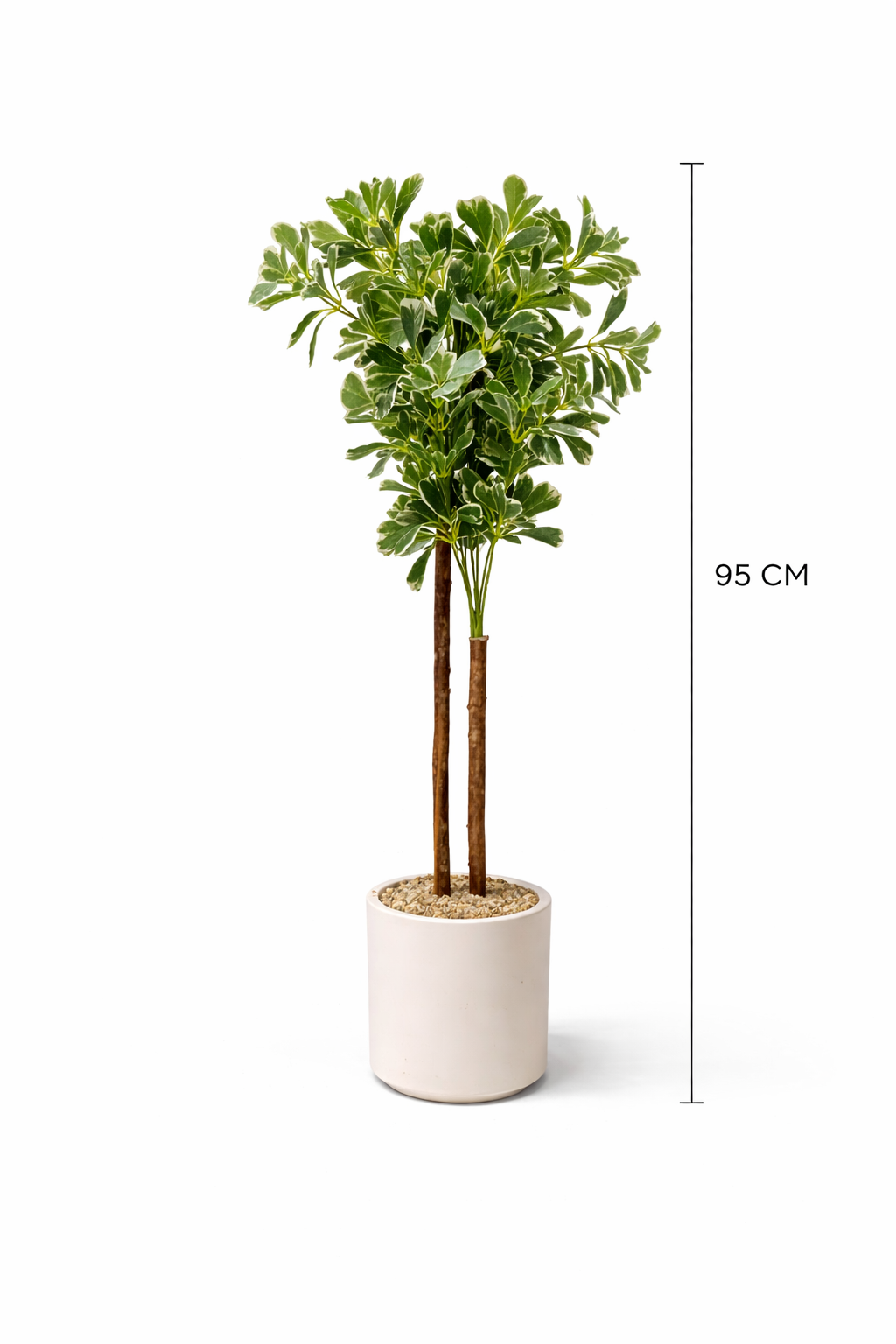 Simple Green Décor that Brings Life