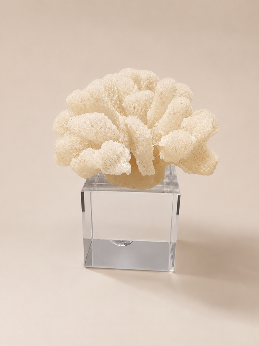 Luxury Coral Sculpture with Crystal Base