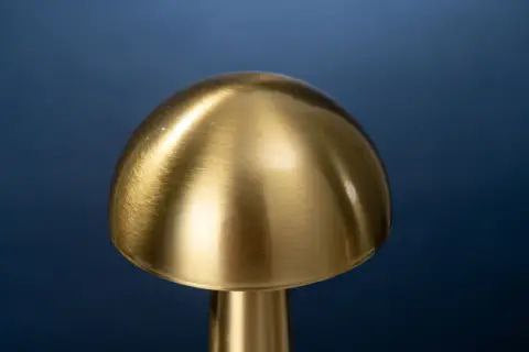 Modern Rechargeable Mushroom Table Lamp Pack Of 2