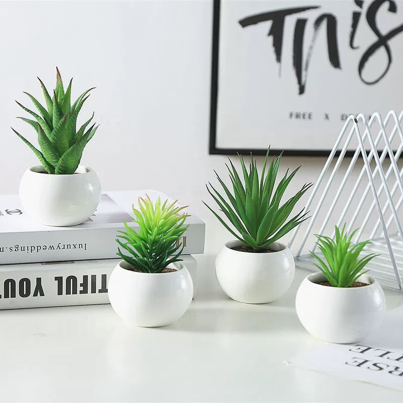 Pack Of 4 Ceramic Plants