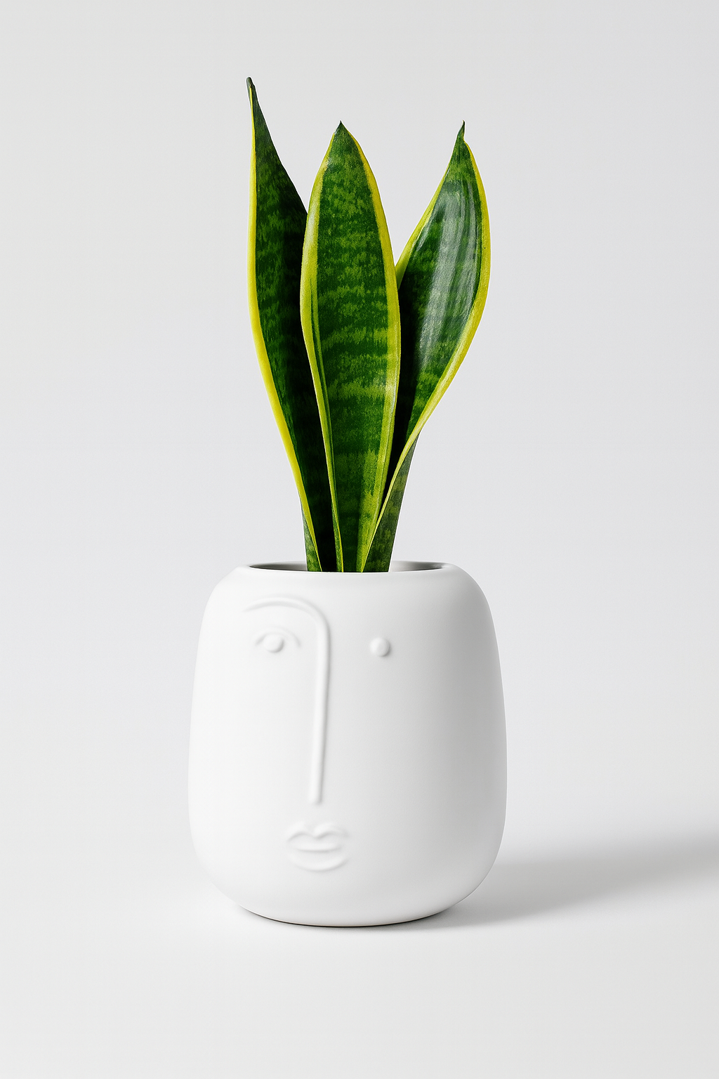 60CM Larger Face Planter Pot