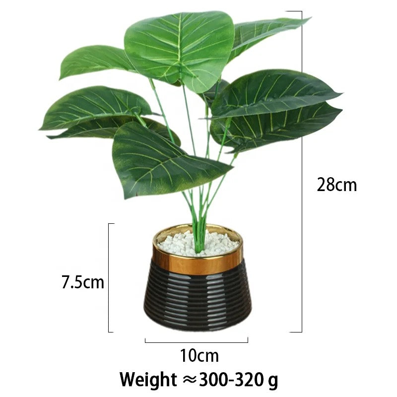 Artificial Green Plant in Elegant Black/White Pot - Pack Of 2