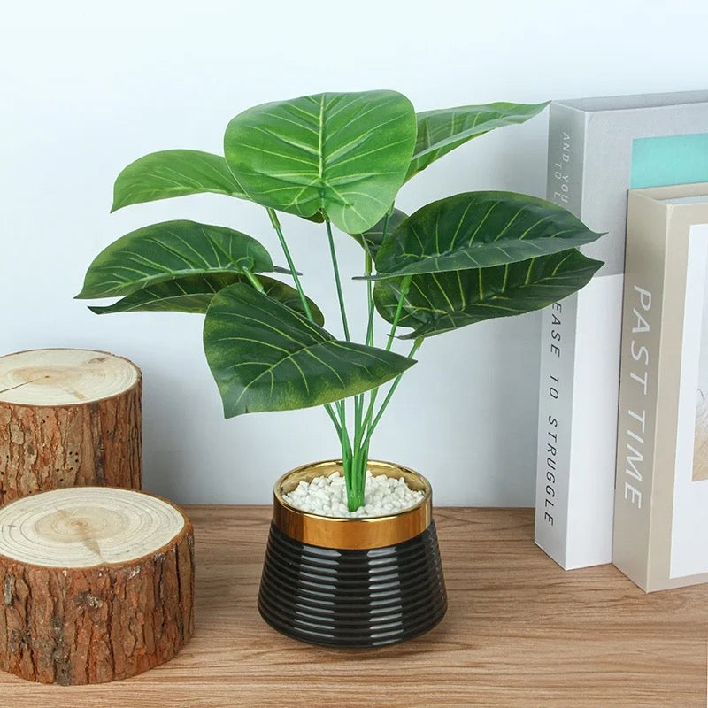 Artificial Green Plant in Elegant Black/White Pot - Pack Of 2