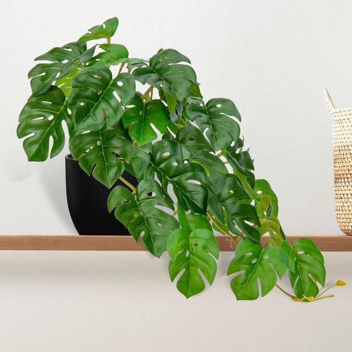 Decorative Hanging Monstera Plant (25CM)