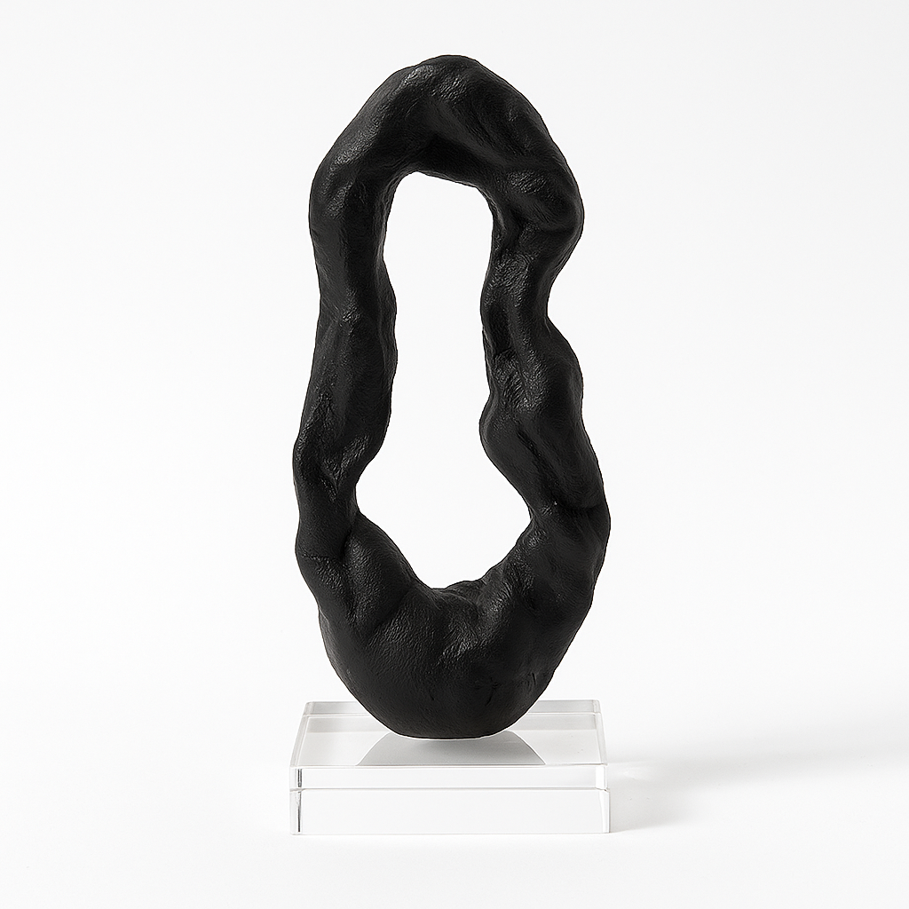 Abstract Black Sculptural Art Piece