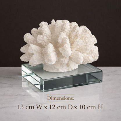 Modern Coral Decor with a Luxurious Feel