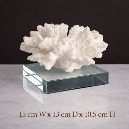 Modern Coral Decor with a Luxurious Feel