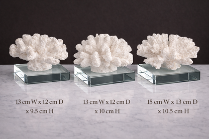 Modern Coral Decor with a Luxurious Feel