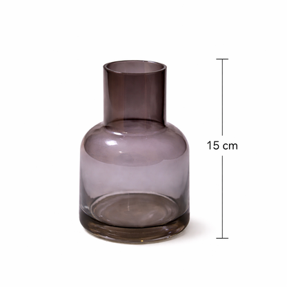 Elegant Glass Vase - SET OF 2
