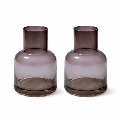 Elegant Glass Vase - SET OF 2