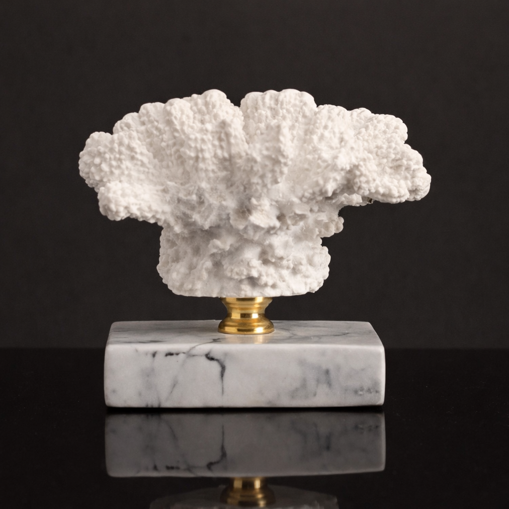 Luxury Coral Decor with Elegant Marble Base