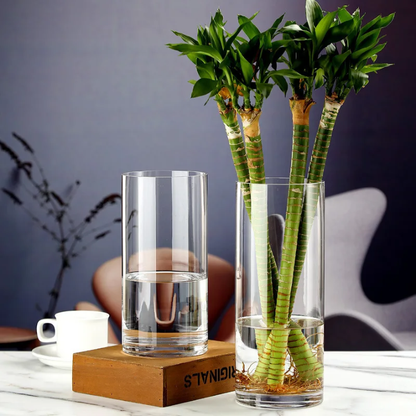 Clear Glass Vases for an Elegant Décor Touch set of 3
