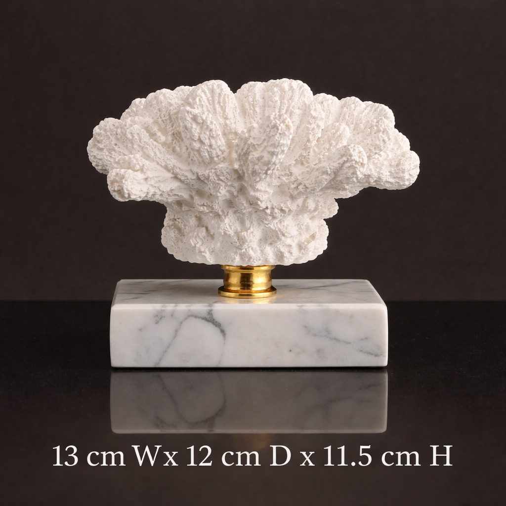 Luxury Coral Decor with Elegant Marble Base
