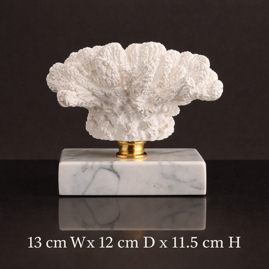 Luxury Coral Decor with Elegant Marble Base