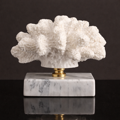 Luxury Coral Decor with Elegant Marble Base