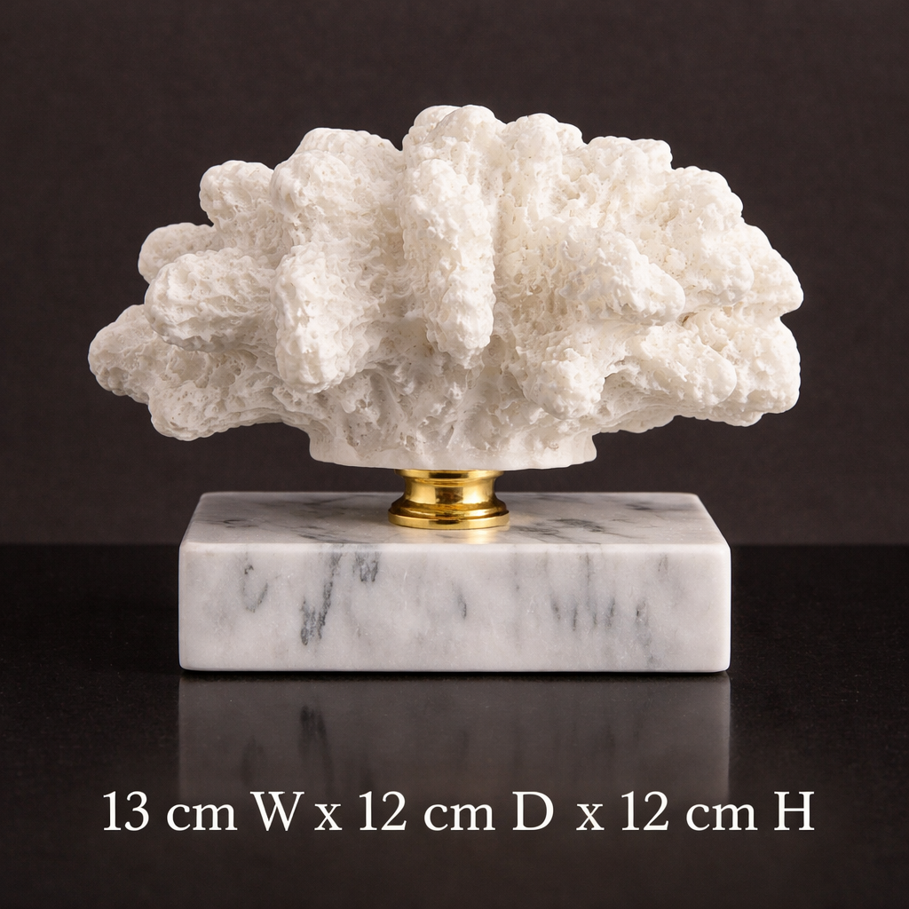 Luxury Coral Decor with Elegant Marble Base