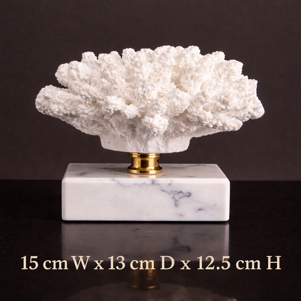 Luxury Coral Decor with Elegant Marble Base