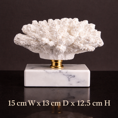 Luxury Coral Decor with Elegant Marble Base