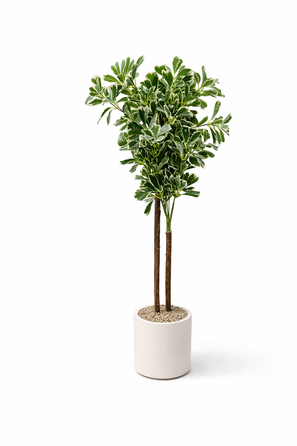 Simple Green Décor that Brings Life