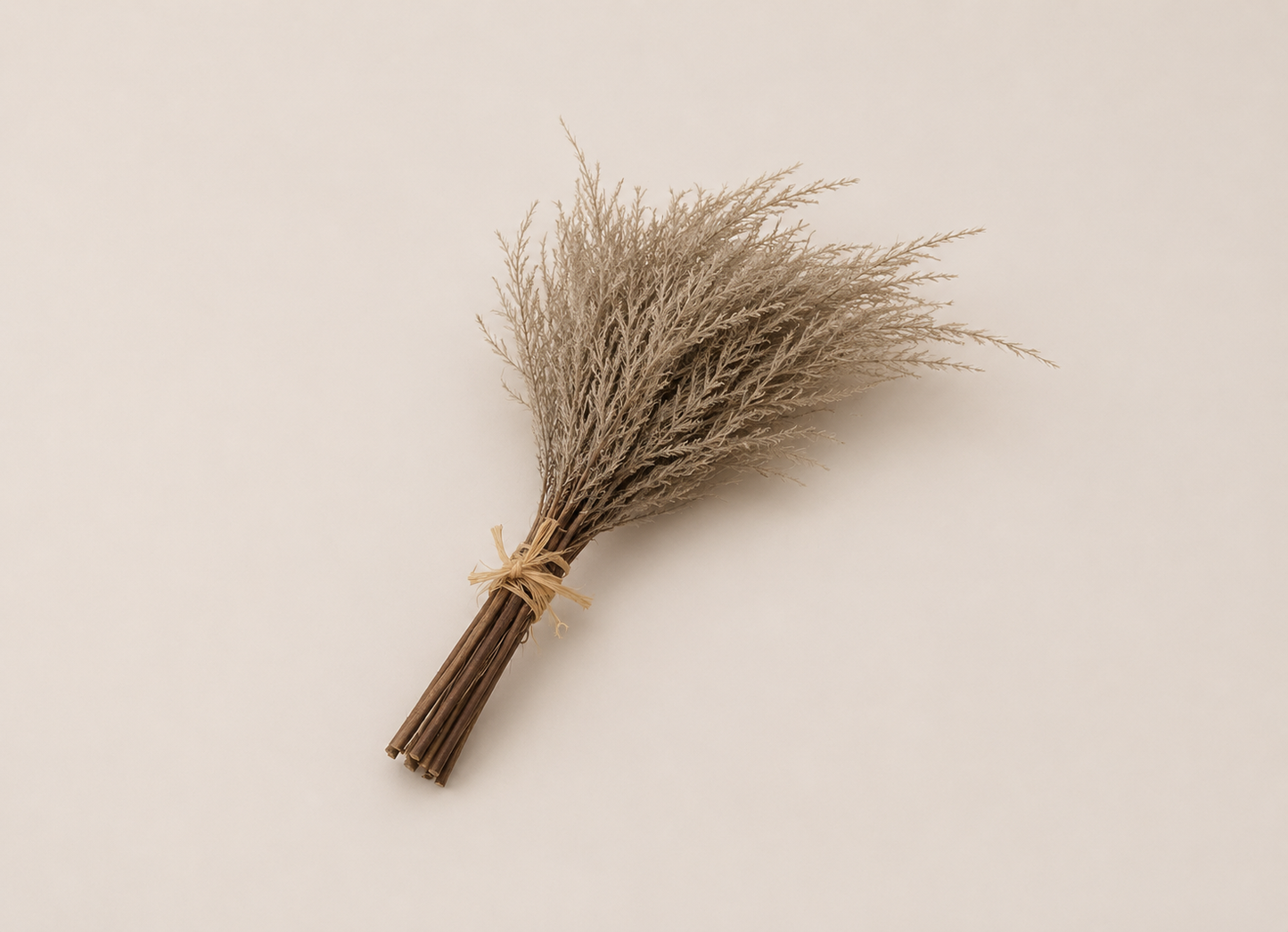 Decorative Dried Branch Bouquet - PACK OF 2