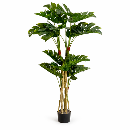Luxury Artificial Monstera Tree - 170 CM