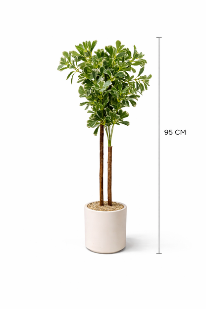 Simple Green Décor that Brings Life