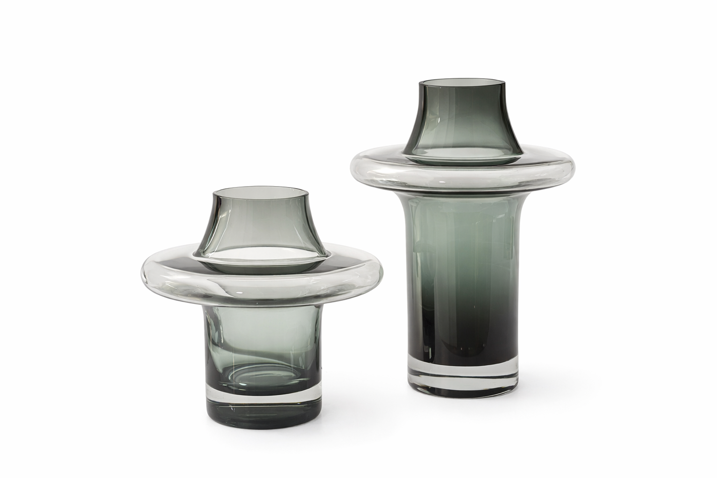 Modern Elegant Glass Vases SET OF 2