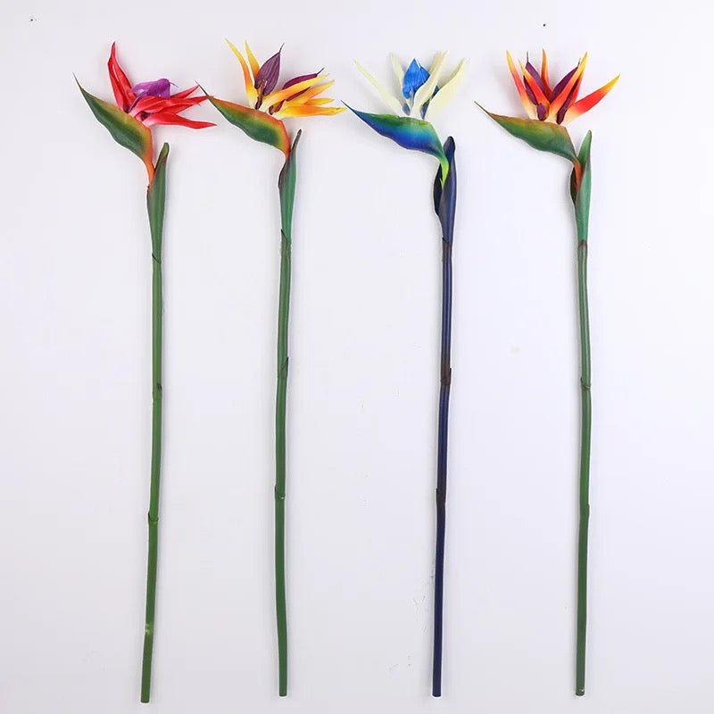 Bird Of Paradise Single Stem