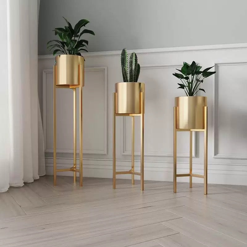 Luxury Planter Stands – Where Modern Design Meets Nature