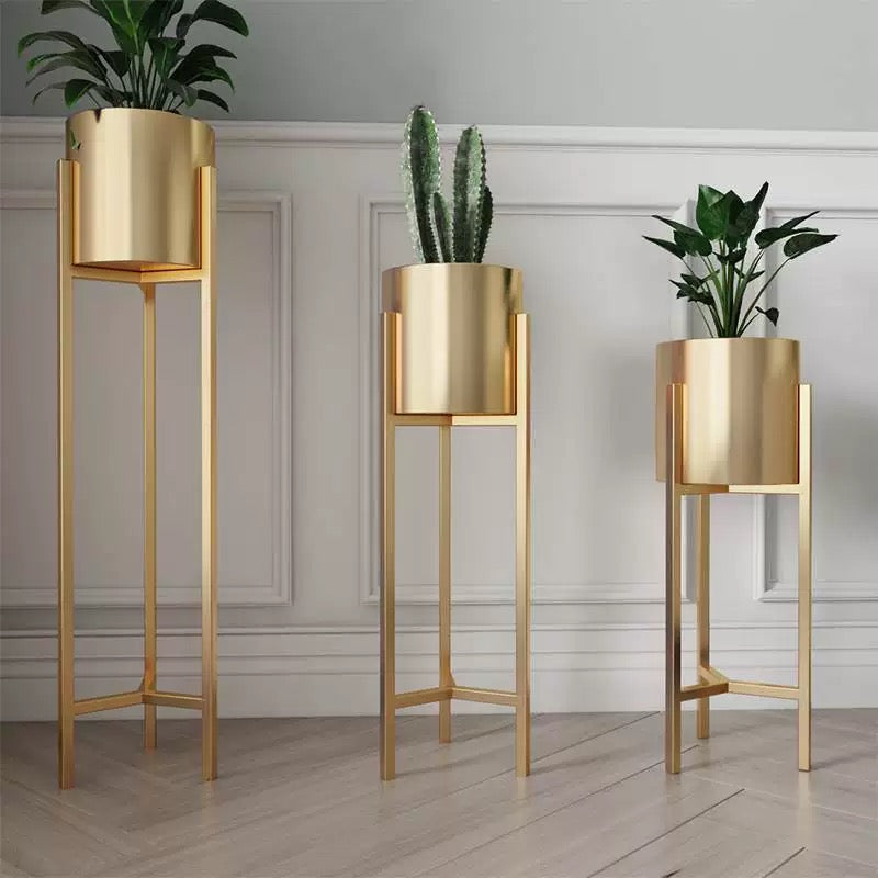 Luxury Planter Stands – Where Modern Design Meets Nature