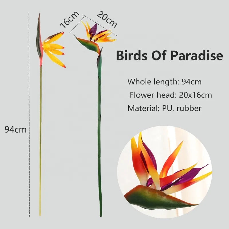 Bird Of Paradise Single Stem