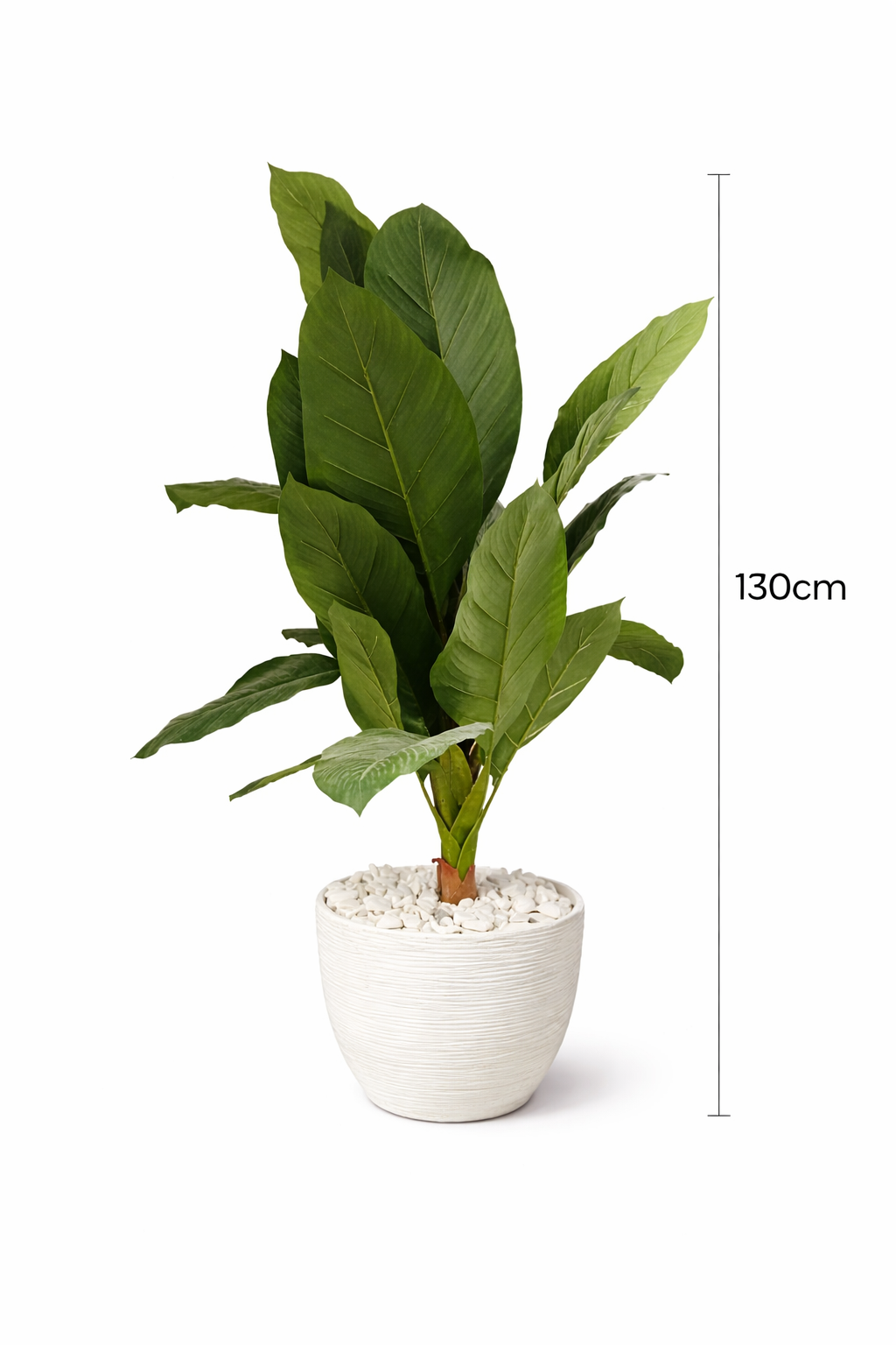 Artificial Plant with Wide Leaves & Natural Luxury -130CM