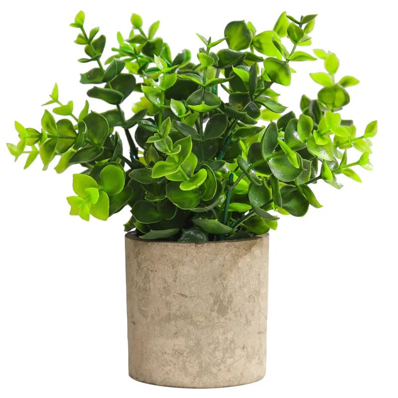 Artificial Eucalyptus Plant in Modern Concrete Planter