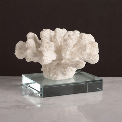 Modern Coral Decor with a Luxurious Feel