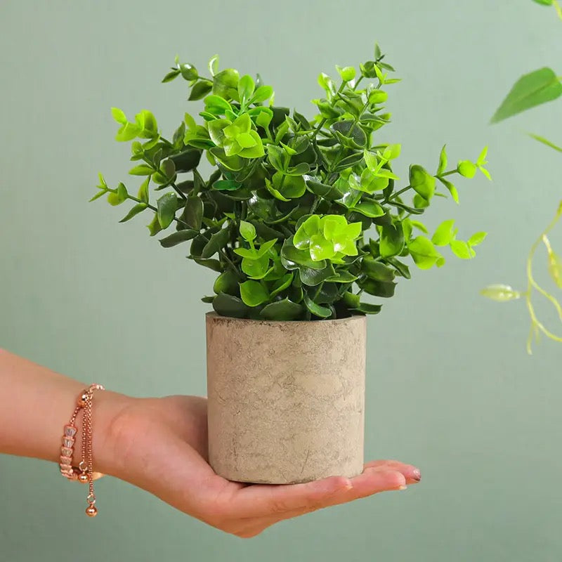 Artificial Eucalyptus Plant in Modern Concrete Planter