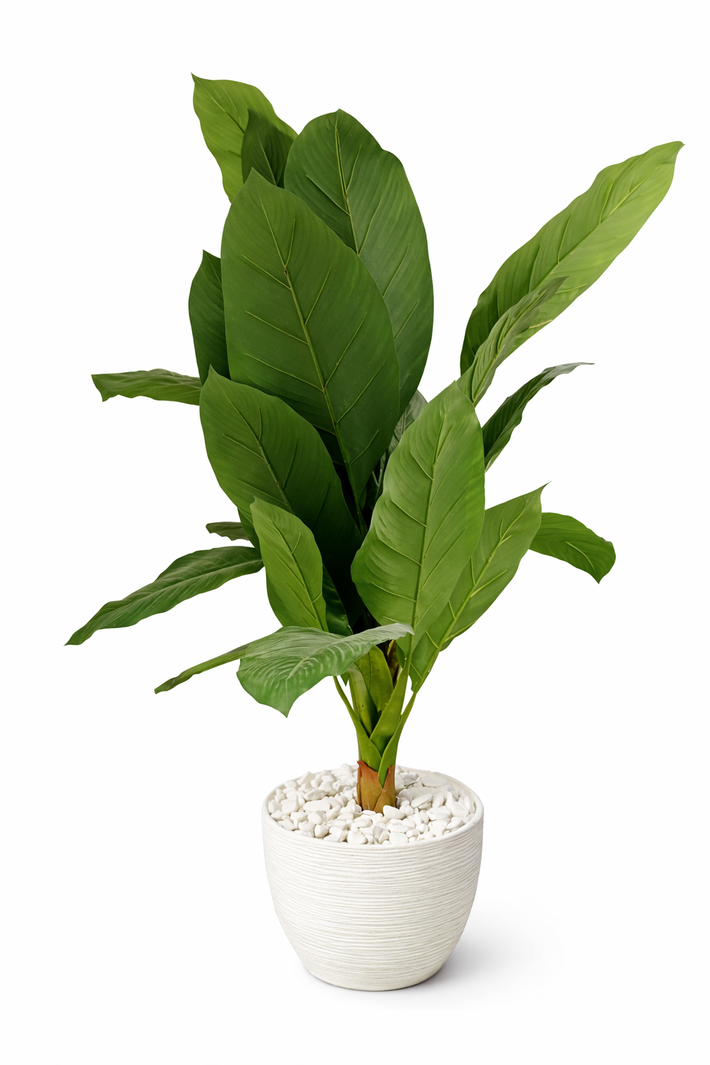 Artificial Plant with Wide Leaves & Natural Luxury -130CM