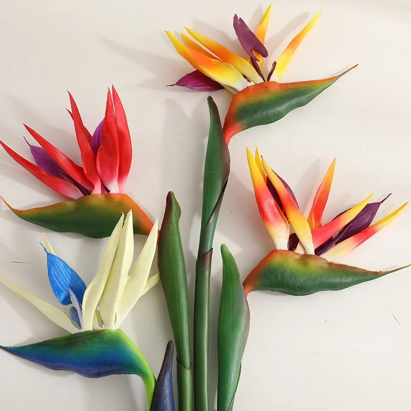 Bird Of Paradise Single Stem