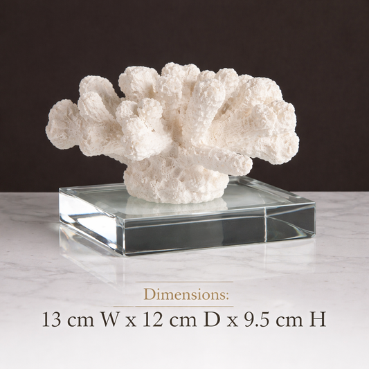 Modern Coral Decor with a Luxurious Feel