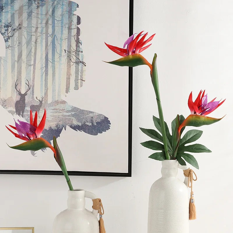 Bird Of Paradise Single Stem