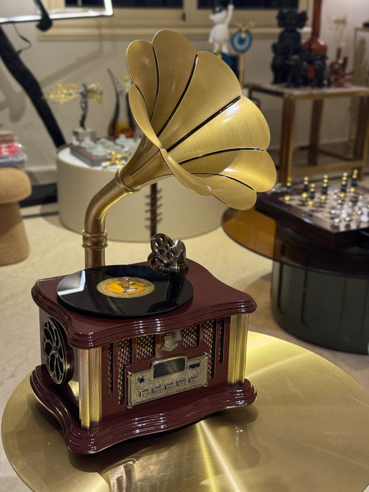 Vintage Speaker Gramophone With Remote Wirless