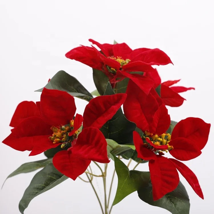 7 Flowers Bouquet Poinsettia