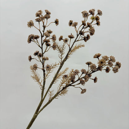 Dried Decorative Branch Stem - pack of 2