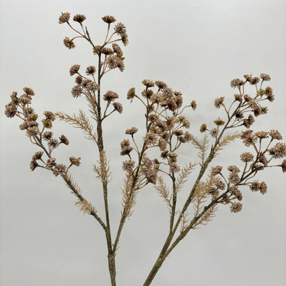 Dried Decorative Branch Stem - pack of 2