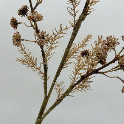 Dried Decorative Branch Stem - pack of 2