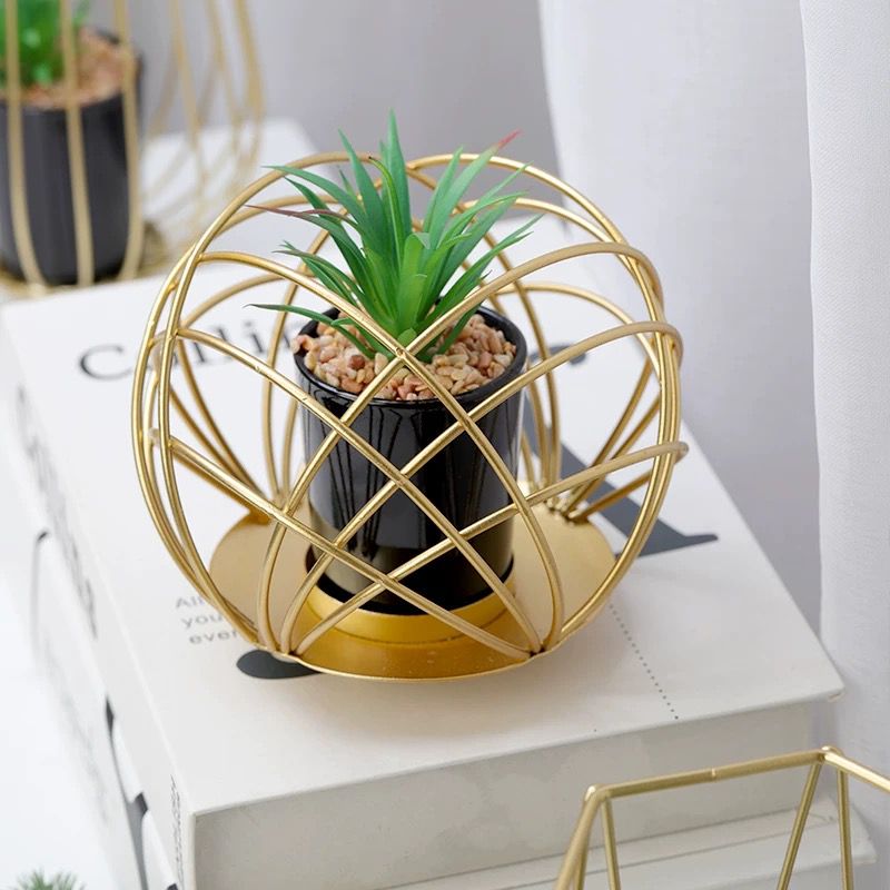 Metal Plant Holder with Plant - pack of 3