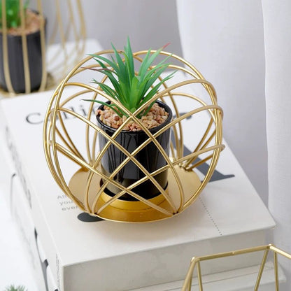 Metal Plant Holder with Plant - pack of 3