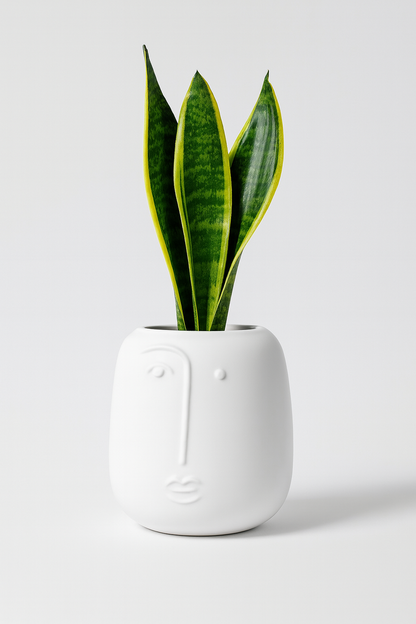 60CM Larger Face Planter Pot